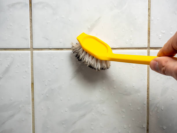 Best Mold Remediation for Specific Building Types in Huntington, TX