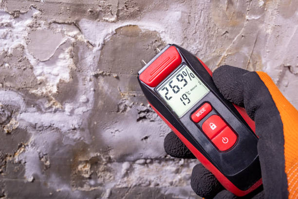 Best Post-Remediation Services in Huntington, TX