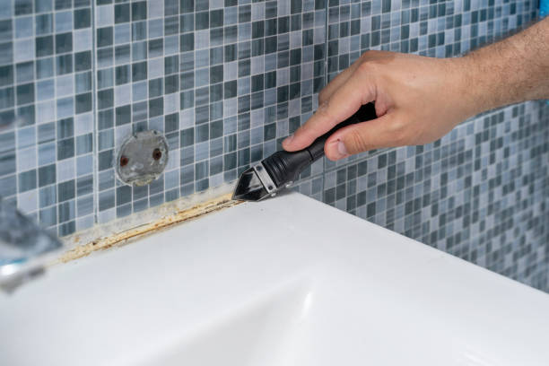 Best Bathroom Mold Remediation in Huntington, TX