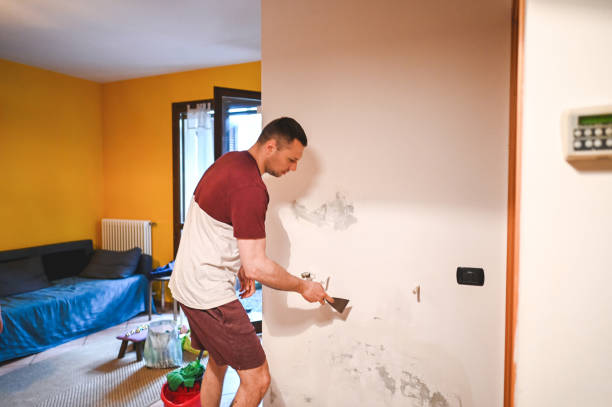 Best Localized Mold Remediation (e.g., coastal areas, humid climates) in Huntington, TX